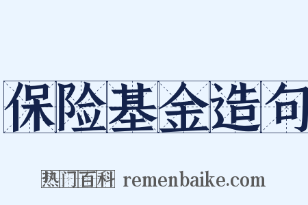 保险基金造句是什么意思的图片
